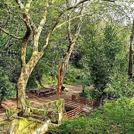Szálloda Termal & Caldas de Monchique